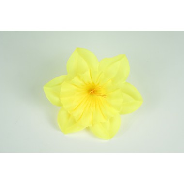 Нарцисс "Магнет" ГК106-1ж-0