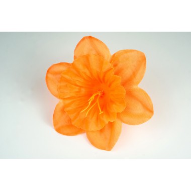 Нарцисс "Магнет" ГК106-1о-0