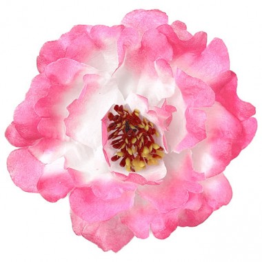 Пион, 13см, 25шт ГК103-2бел-мал-0