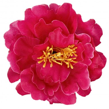 Пион, 13см, 25шт ГК103-2м-0