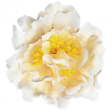 Пион, 13см, 25шт ГК103-2пудровый-0