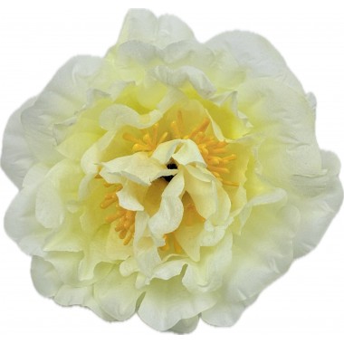 Пион, 13см, 25шт ГК103-2мол-0