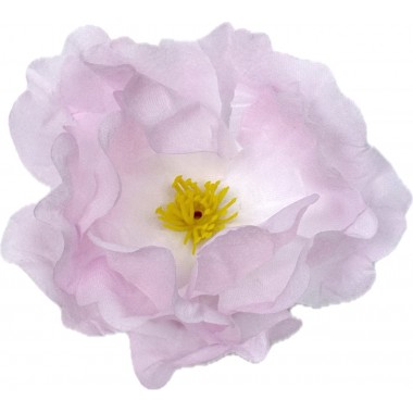 Пион маленький, 7 см (ритуал.) (50 шт) ГК103бел-роз-0