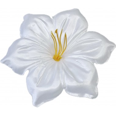 Клематис атласный ГК107б-0