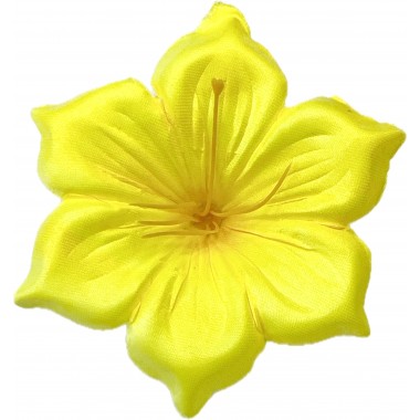 Клематис атласный ГК107ж-0