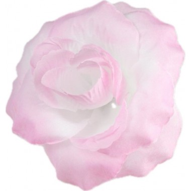 Роза декоративная ГК118-1бел-роз-0