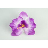 Орхидея ГК128бел-фиол
