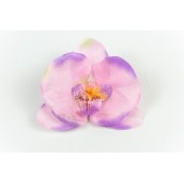 Орхидея ГК128сирень-роз