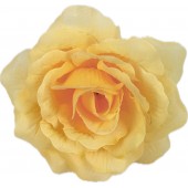 Роза Кардинал ГК124персиковый