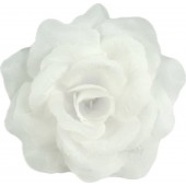 Роза Кардинал ГК124б