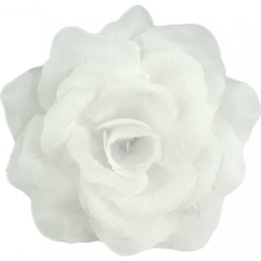 Роза Кардинал ГК124б-0