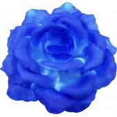 Роза Кардинал ГК124с