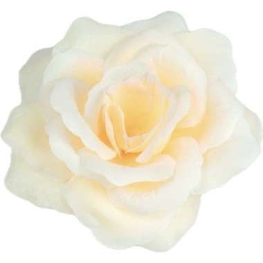 Роза Кардинал ГК124пудровый-0