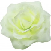 Роза Кардинал ГК124мол