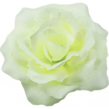 Роза Кардинал ГК124мол-0