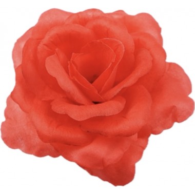 Роза Кардинал ГК124к-0