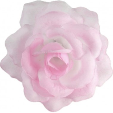 Роза Кардинал ГК124бел-роз-0