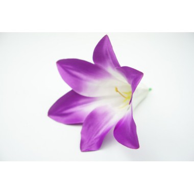 Комплект лилии трубчатой ГК126ф-0