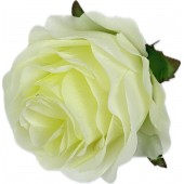 Роза декоративная"Клементина", ГК146мол