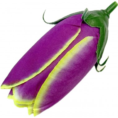 Тюльпан ГК237бургунд-ж-0