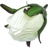 Роза бутон ГК242мол