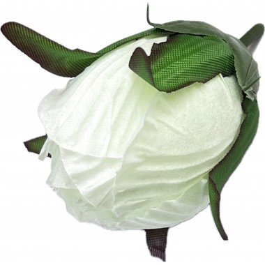 Роза бутон ГК242мол-0