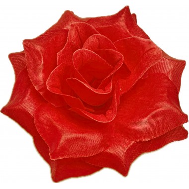 Роза остролистная ГК280к-0