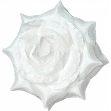 Роза остролистная ГК294б-0