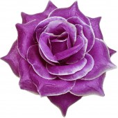 Роза остролистная ГК294бургунд