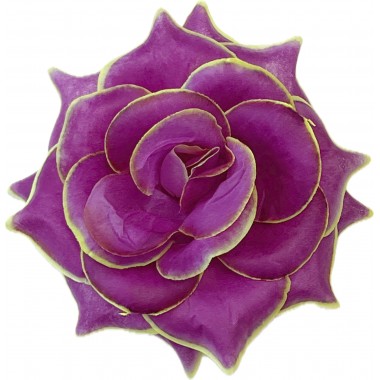 Роза остролистная ГК294бургунд-ж-0