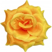 Роза остролистная ГК294ж