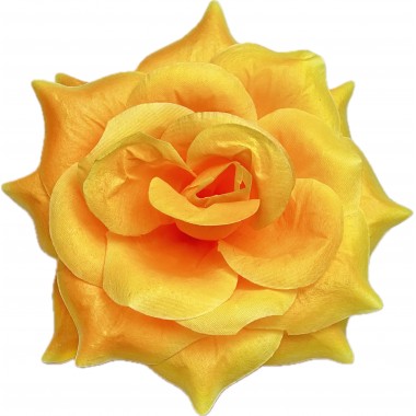 Роза остролистная ГК294ж-0