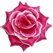 Роза остролистная ГК294м