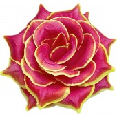 Роза остролистная ГК294м-ж