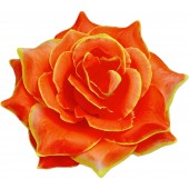 Роза остролистная ГК294о-ж