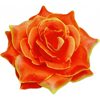 Роза остролистная ГК294о-ж-0