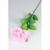 Роза одиночная "Кардинал" ЦС124свет-роз