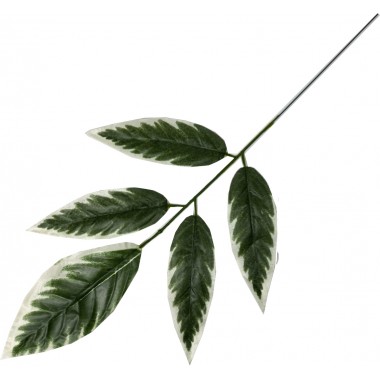 Ветка манго 5 листьев, СН43-1-0