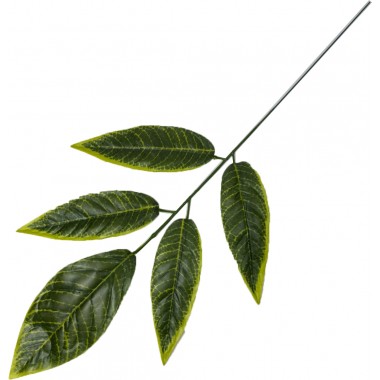 Ветка манго 5 листьев, СН43-3-0