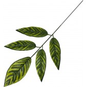 Ветка манго 5 листьев, СН43-4