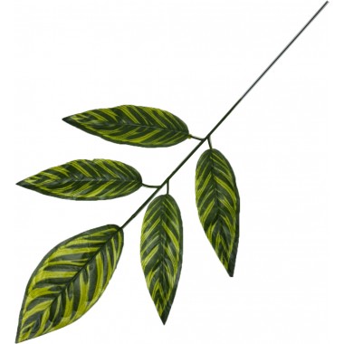 Ветка манго 5 листьев, СН43-4-0