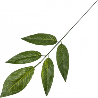 Ветка манго 5 листьев, СН43-5-0