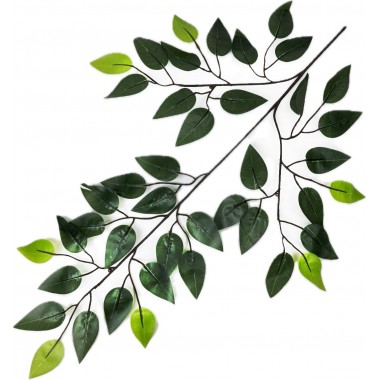 Ветка фикуса 42 листьев, СН45-0