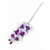 Ветка орхидеи ВС013б-ф