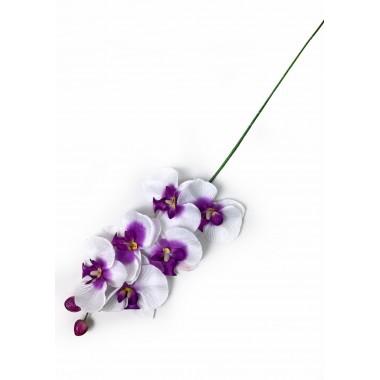 Ветка орхидеи ВС013б-ф-0