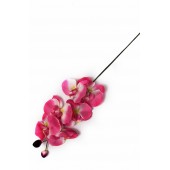 Ветка орхидеи ВС013м