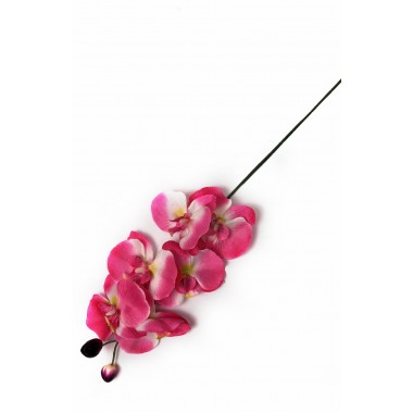 Ветка орхидеи ВС013м-0