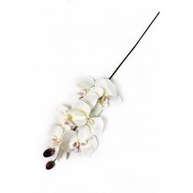 Ветка орхидеи ВС013мол-0