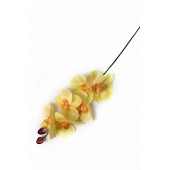 Ветка орхидеи ВС013крем