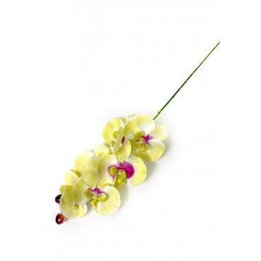 Ветка орхидеи ВС013лимон-0